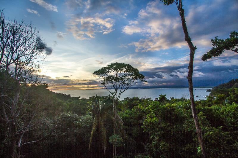 Issimo Suites Boutique Hotel & Spa - Adults Only Manuel Antonio Dış mekan fotoğraf