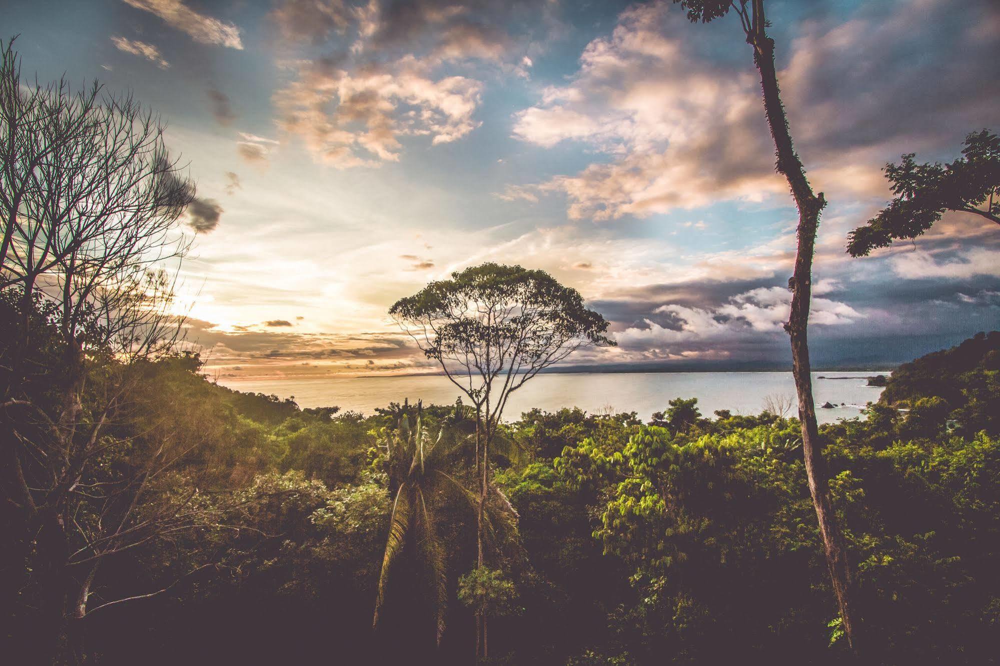 Issimo Suites Boutique Hotel & Spa - Adults Only Manuel Antonio Dış mekan fotoğraf
